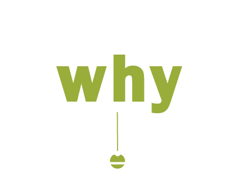 Our Calgary Dentist Welcomes New Patients